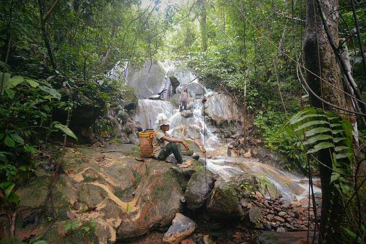 3-Day Survival and Leuser Ecosystem Tour — Adventure things to do in Aceh