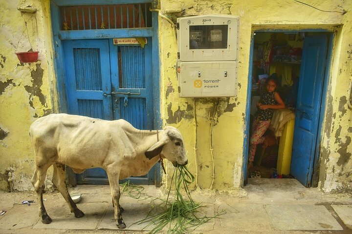Heritage walking tour of Ahmedabad's Old Quarter, Ahmedabad