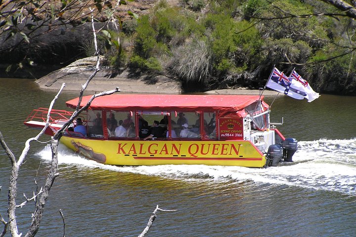 Kalgan Queen Scenic Cruises a four hour sheltered water wildlife tour daily fun., Albany
