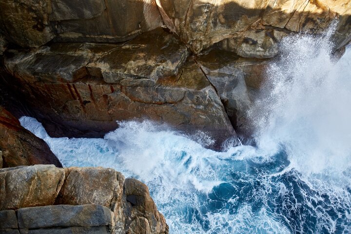 The Gap and Natural Wonders, Albany
