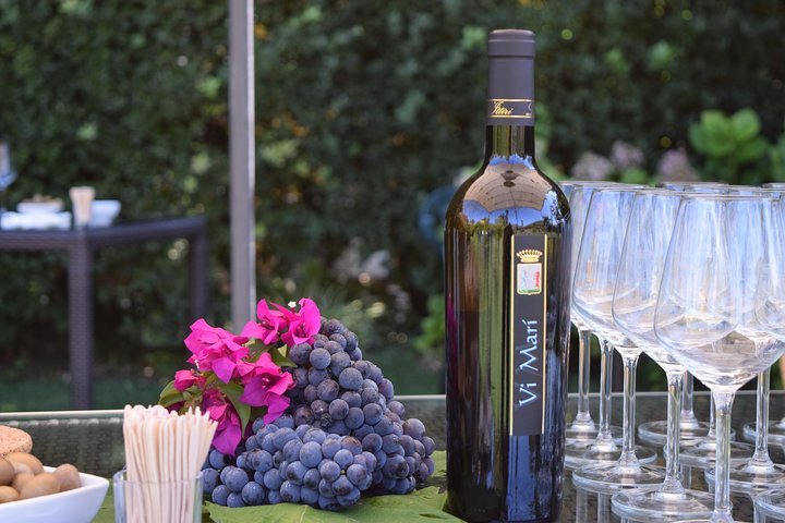 Guided Wine and Olive oil tasting, Alghero