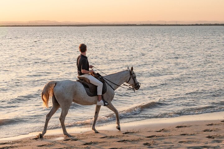 Almada Horse Walk on the Beach Taste Vins and Christ King, Almada