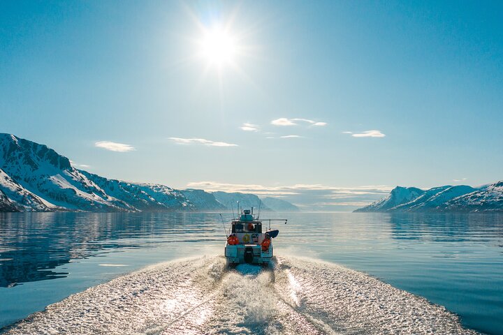 Alta: 2 Hours Guided Adventure Cruise in Alta Fjord — Adventure things to do in Alta