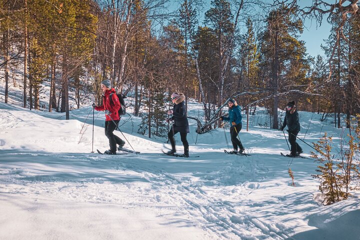 Easy Snowshoe Adventure in the Arctic Wilderness, Alta