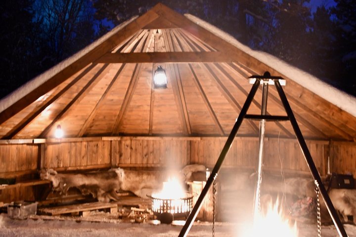 Sleigh ride Under The Northern Lights — Adventure things to do in Alta