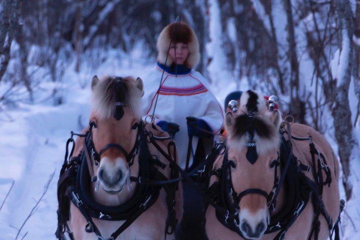 Sleigh Ride w/snacks- Experience Arctic Farm Life, Alta