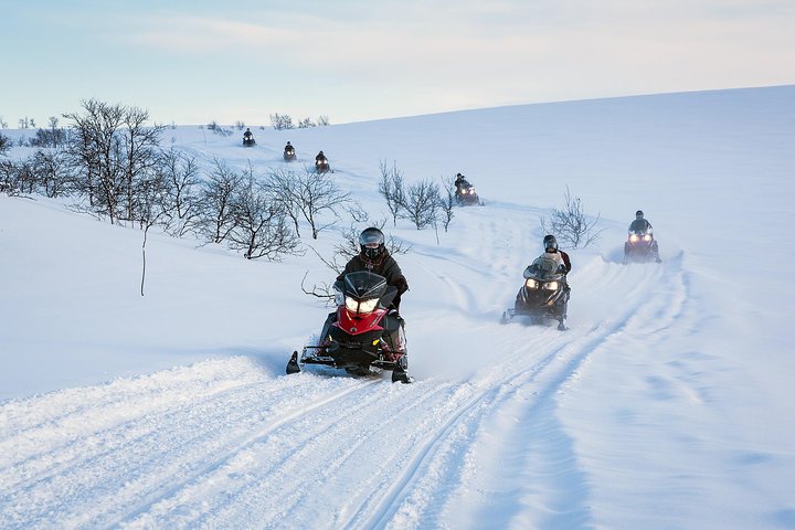 Snowmobile safari in the mountain plateau of Finnmarksvidda — Nature & wildlife things to do in Alta