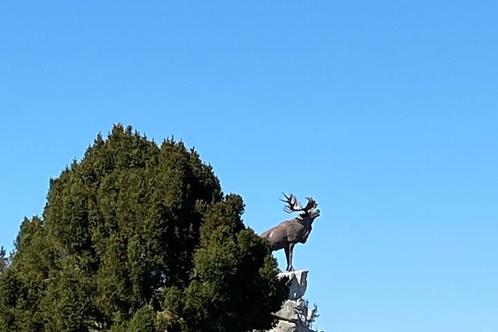 Private WW1 Canadian focused Tour including Vimy Ridge, Amiens