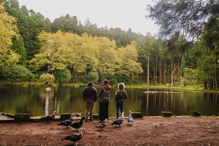 From Angra: Terceira Island Full-Day Tour (Private) — Luxury & private things to do in Angra do Heroísmo