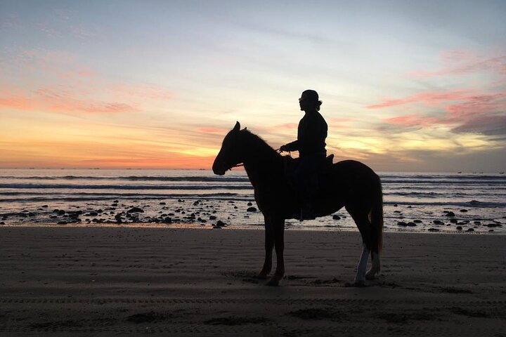Horse Ride on the Beach From Awrir or Tamraght, Aourir