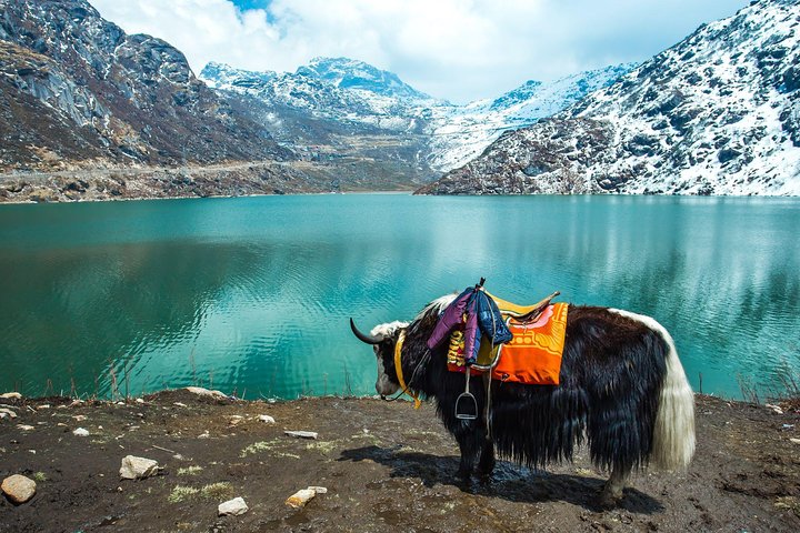 Six-day excursion to Lachen and Lachung from Bagdogra, Bagdogra