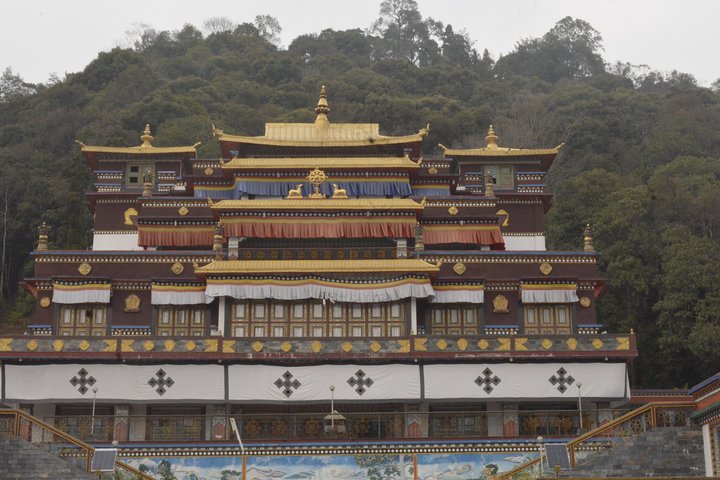 7 nights in Sikkim and Darjeeling by car, Bagdogra