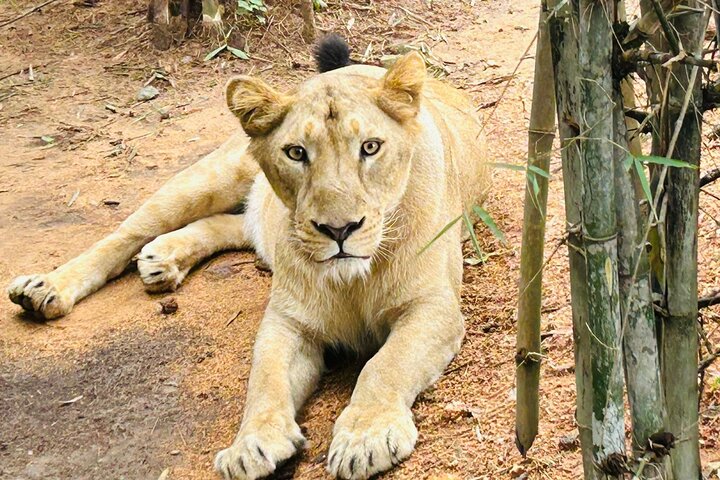 Bangalore — top 5 adventure