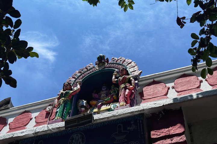Bangalore — top 7 nature & wildlife
