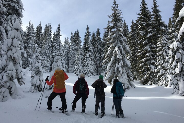 Snowshoeing day trip from Bansko to Rhodope Mountains — Kids-friendly things to do in Bansko