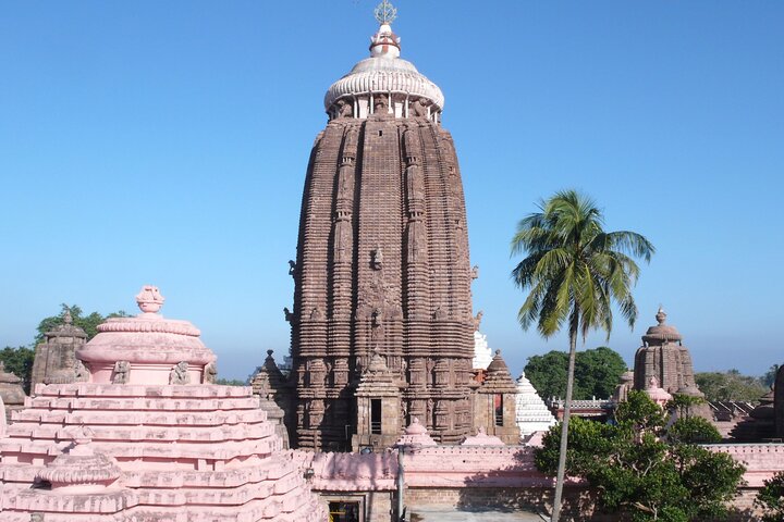 Private day trip to Puri from Bhubaneswar, Bhubaneswar