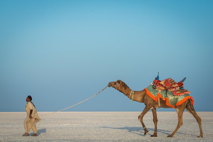 Bhuj to White Rann of Kutch day trip, Bhuj