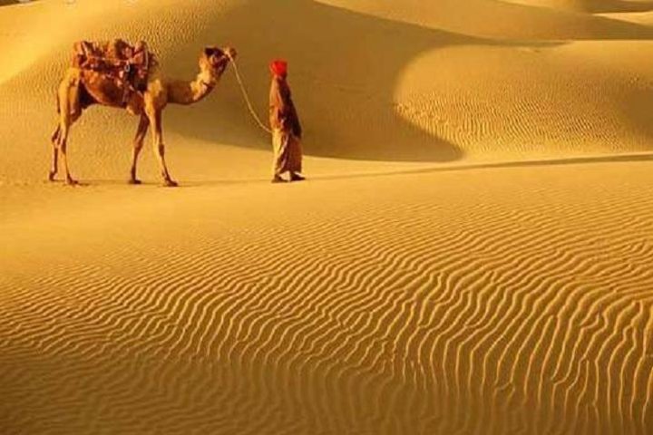Camel safari in the Thar Desert near Bikaner, Bikaner