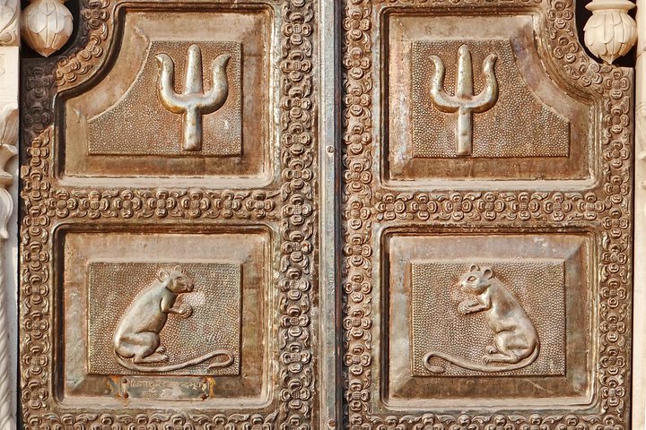 Karni Mata Temple — the rat temple near Bikaner, Bikaner