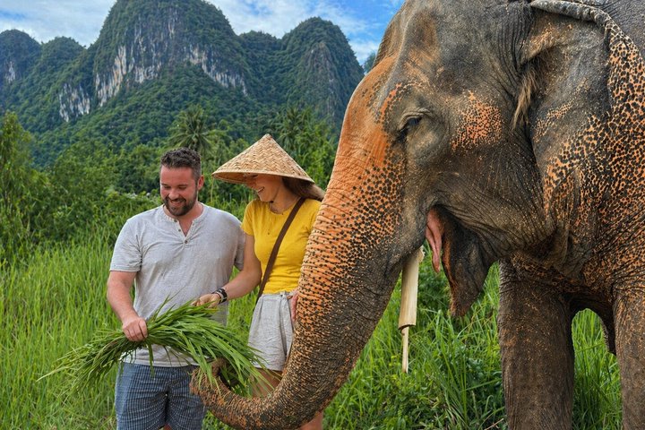 Elephant Nature Care, the largest elephant sanctuary on Koh Samui, Bophut