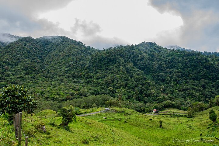 Boquete Panoramic Tour, Boquete