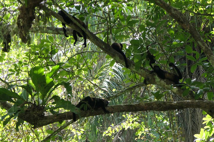 Do what you like — Adventure things to do in Boquete