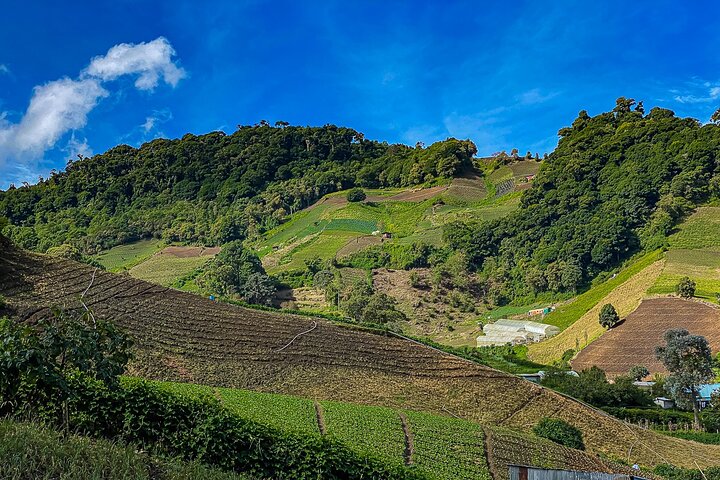 experiences in Boquete