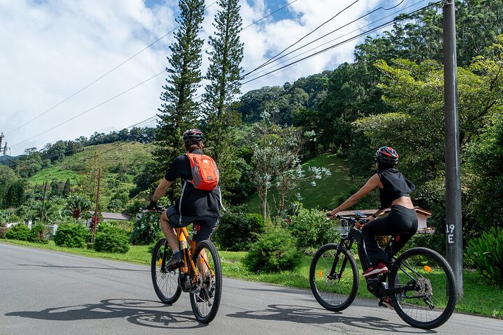 Private E-Bike Tour in Boquete: Scenic Views & Coffee Farms — Nature & wildlife things to do in Boquete