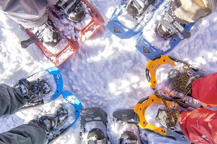 Snowshoeing in Chamonix, with a private guide, Chamonix