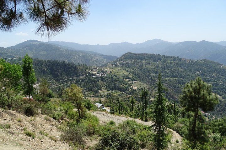 Colonial hill stations tour from Chandigarh, Chandigarh