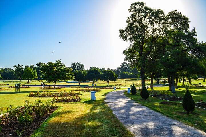 experiences in Chandigarh