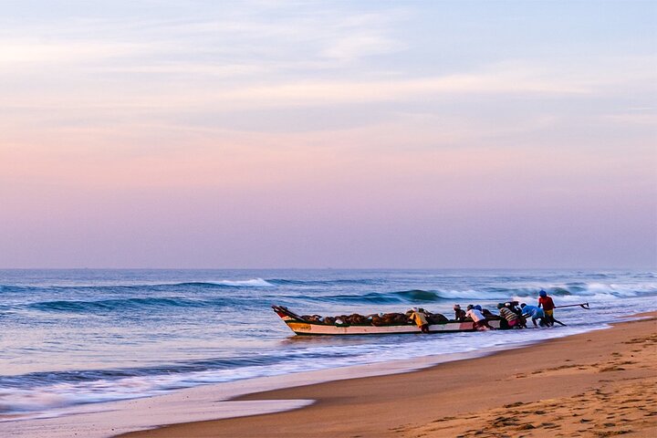 7-day private guided temple tour of Tamil Nadu from Chennai, Chennai