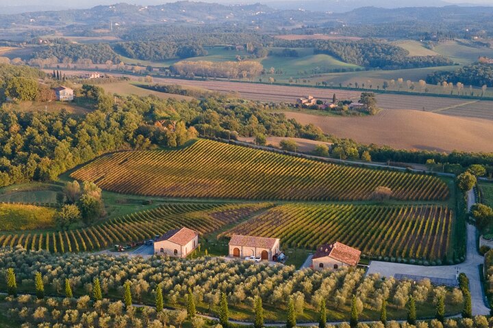 1h30m Wine Tasting and Visit to Val D'Orcia, Chianciano Terme