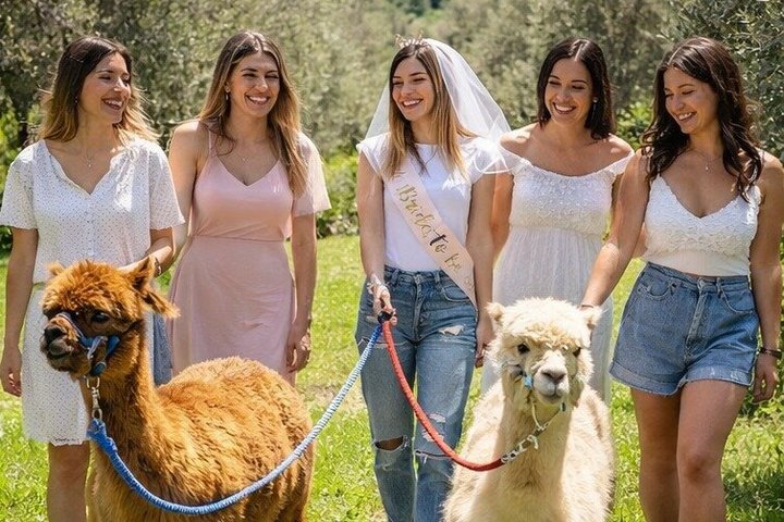 Exclusive Hen Party with Alpaca and Aperitif in Tuscany, Chianciano Terme