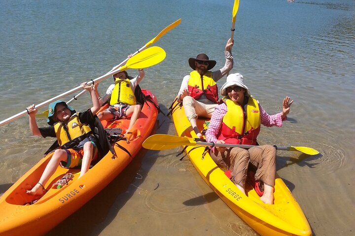 Daytime Kayak Eco Tour of New South Wales, Coffs Harbour