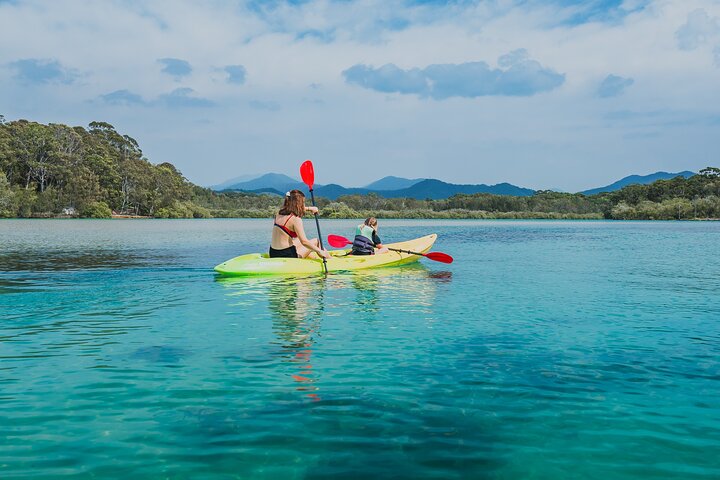 Sunset Kayak Eco Tour with Marine Scientist, Coffs Harbour