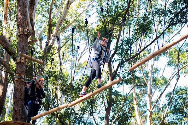 Treetops Adventure Coffs Harbour Tree Ropes Course — Adventure things to do in Coffs Harbour