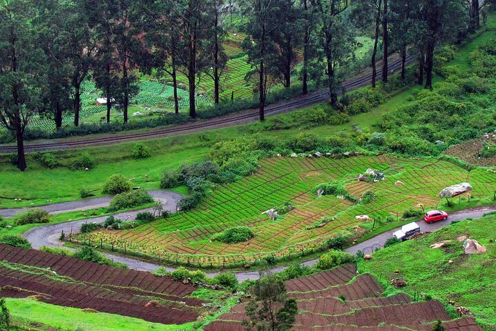 Ooty and Kumarakom tour from Coimbatore, Coimbatore