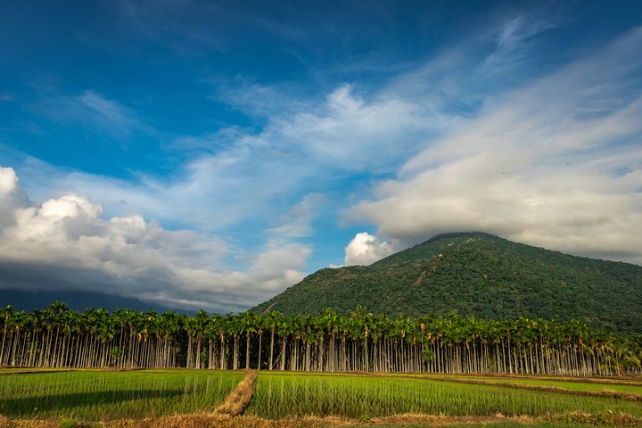 Coimbatore walking tour with a local guide, Coimbatore