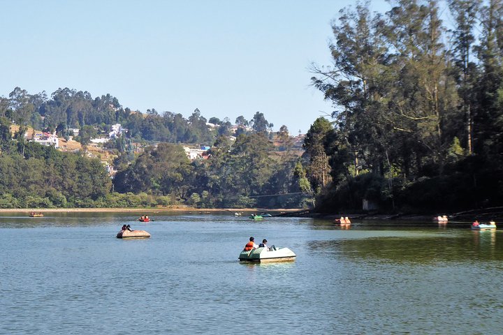 Full-day guided sightseeing tour of Ooty by car, Coimbatore