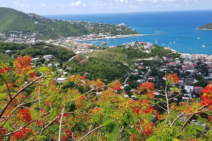 St. Thomas Shopping And Sightseeing Tour — Day trips things to do in Cruz Bay