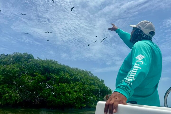experiences in Dangriga