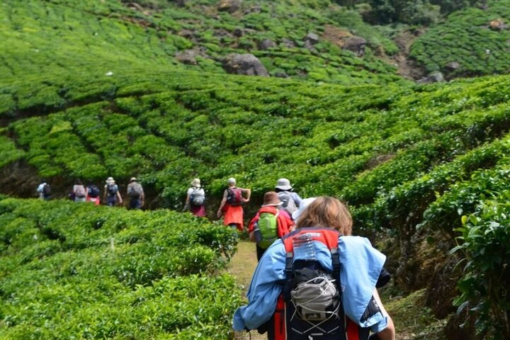 Darjeeling — top 4 food & drink