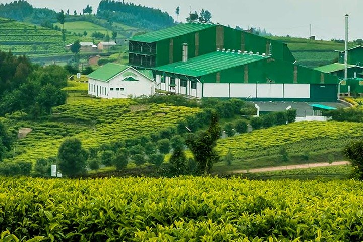 Darjeeling — top 1 kids-friendly