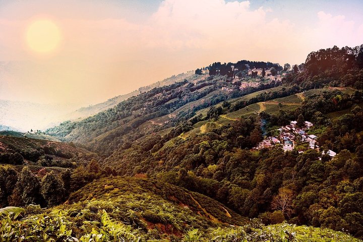 Darjeeling — top 10 nature & wildlife