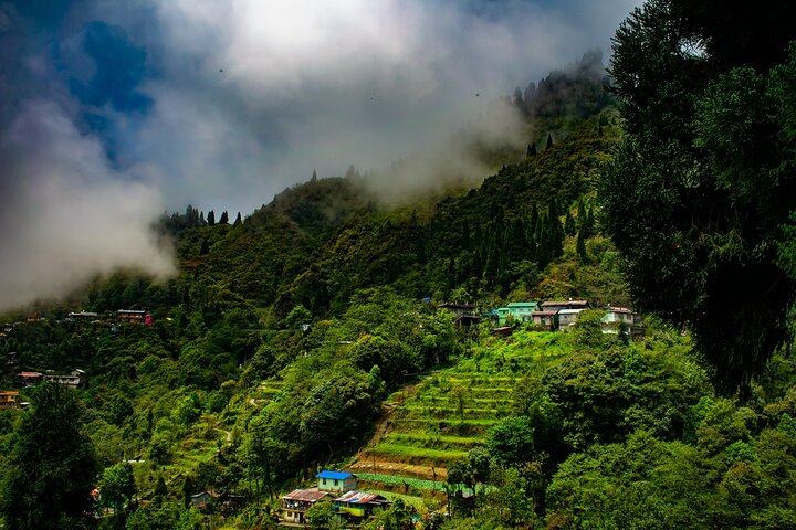 Guided nature walk to Tiger Hill in Darjeeling, Darjeeling