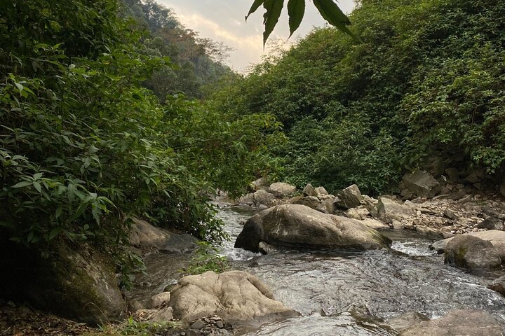 Darjeeling — top 10 nature & wildlife