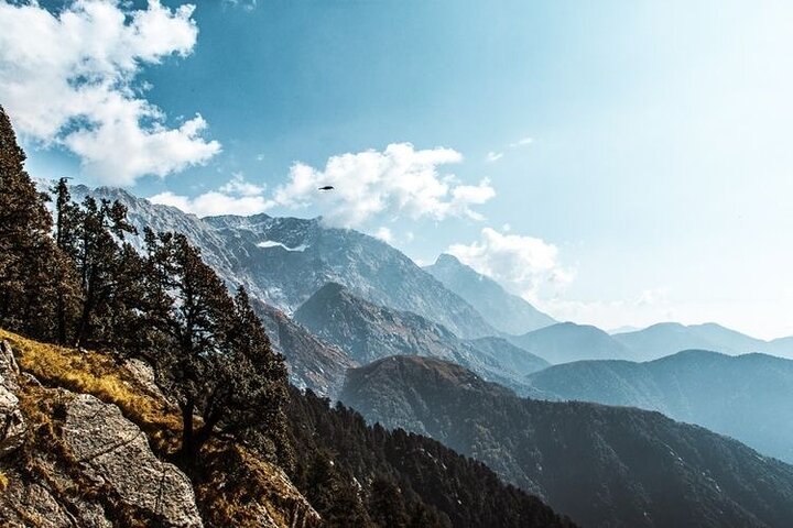 Dharamsala — top 10 nature & wildlife