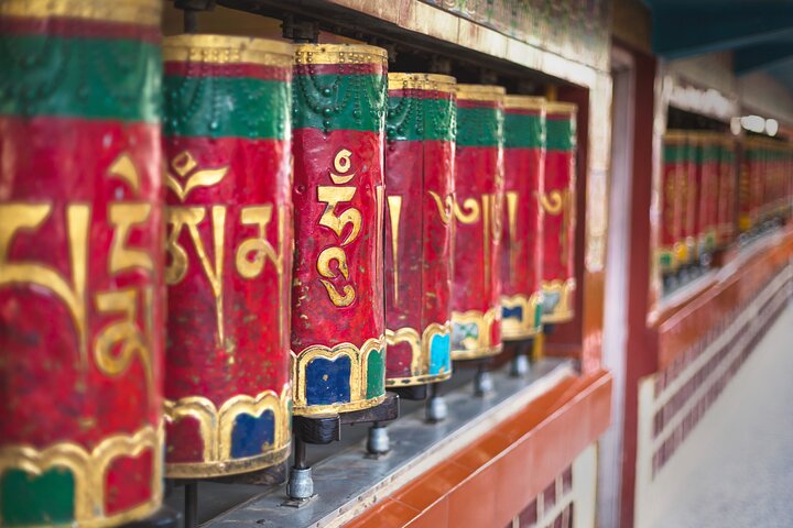Dharamsala — top 5 wellness & spa