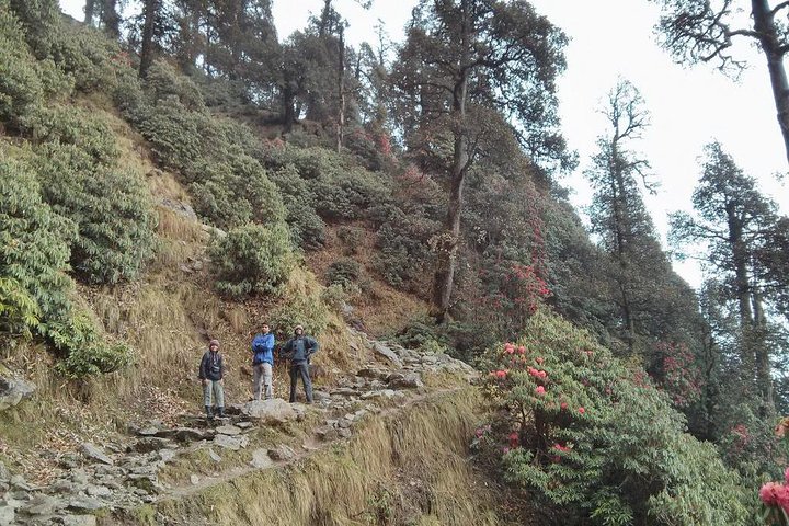 experiences in Dharamsala